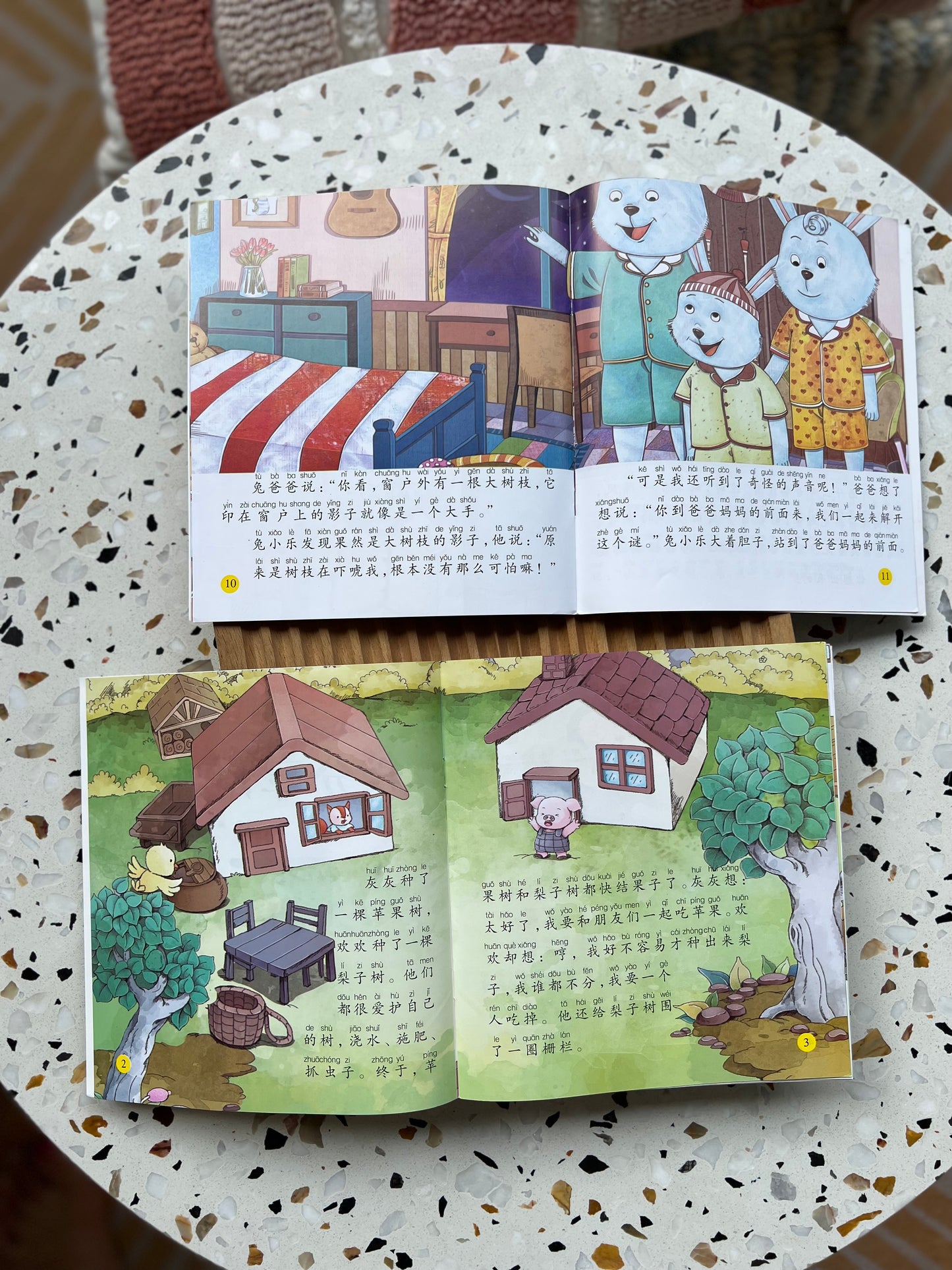 Good Habits Series 1 (Hanyu Pinyin) 好孩子好习惯 (一)