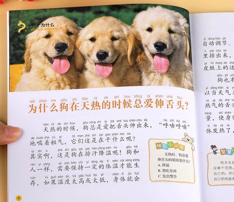 十万个为什么 100K Questions