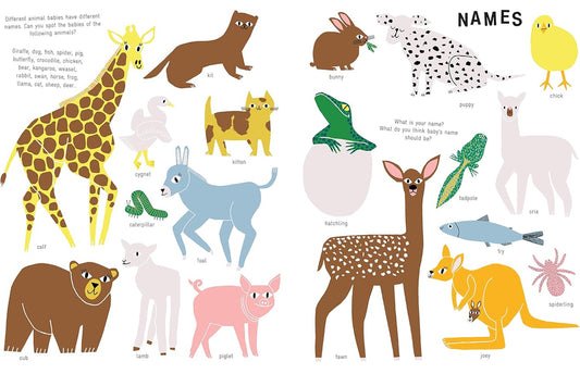 The New Baby (Activity Book)