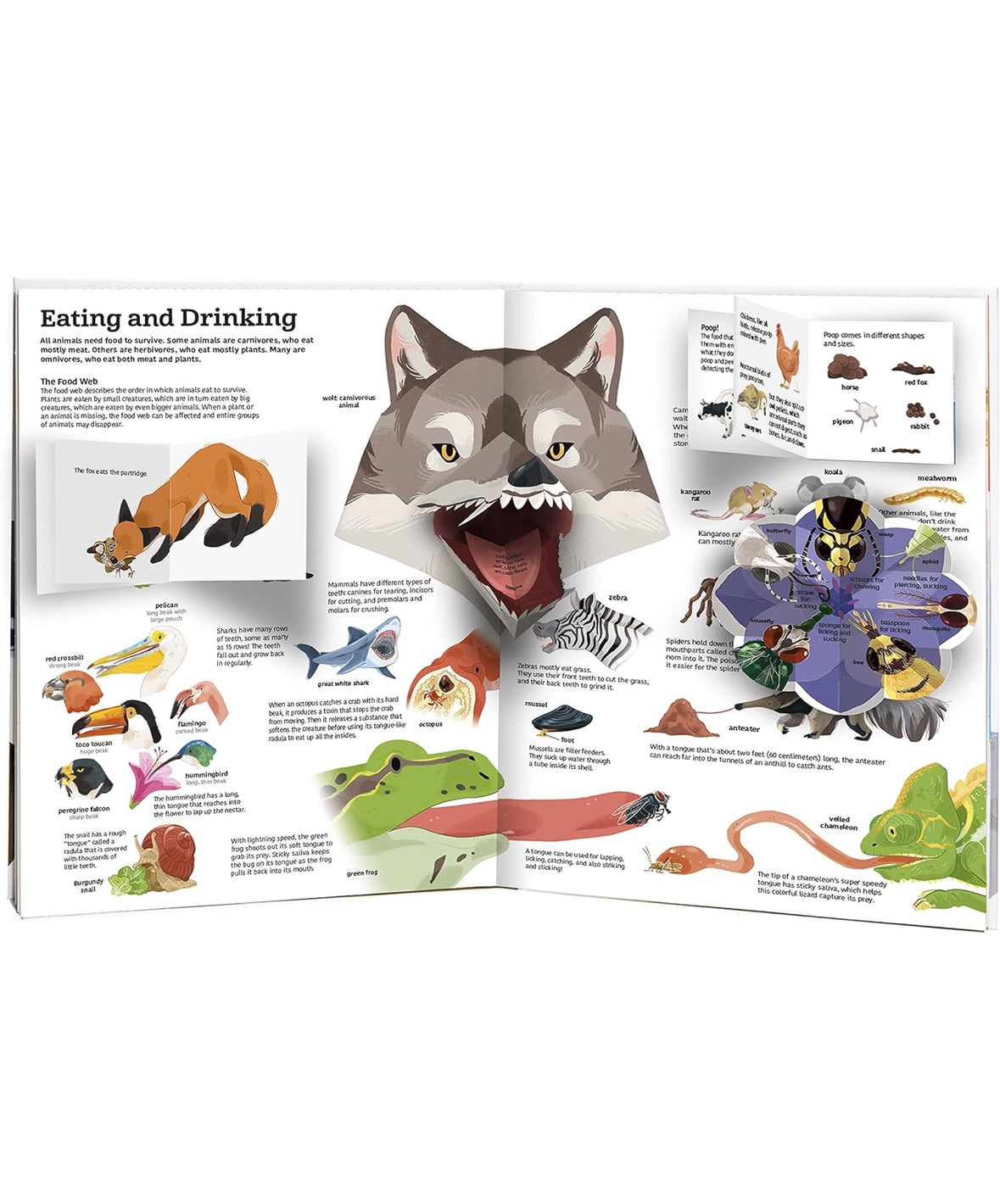 The Ultimate Book of Animals