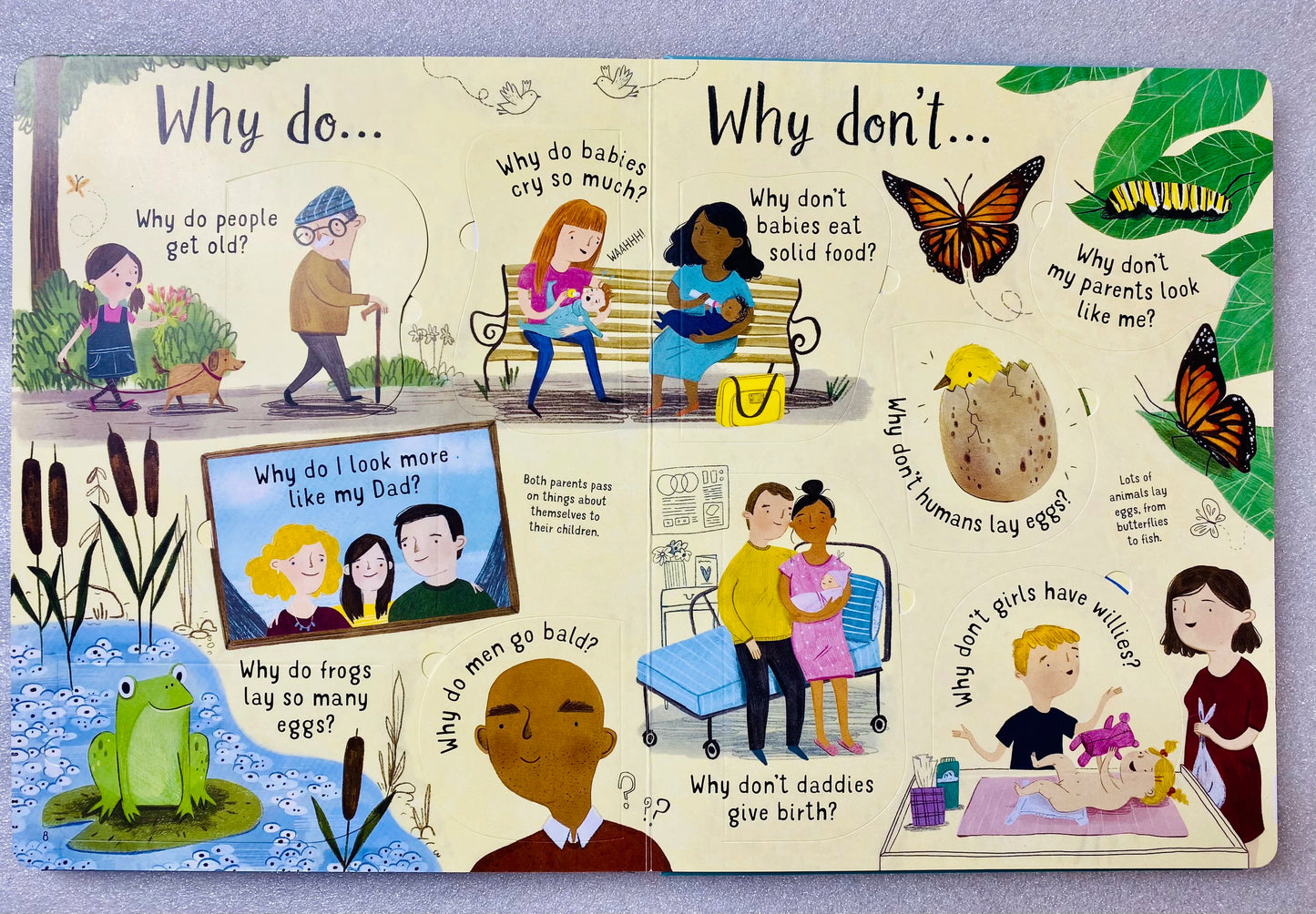 Lift-the-Flap: Questions and Answers about Growing Up