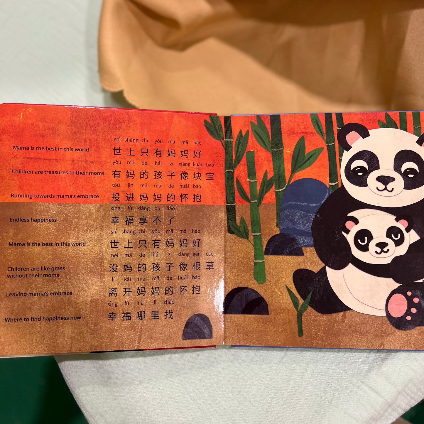 Bao Bao Learns Chinese