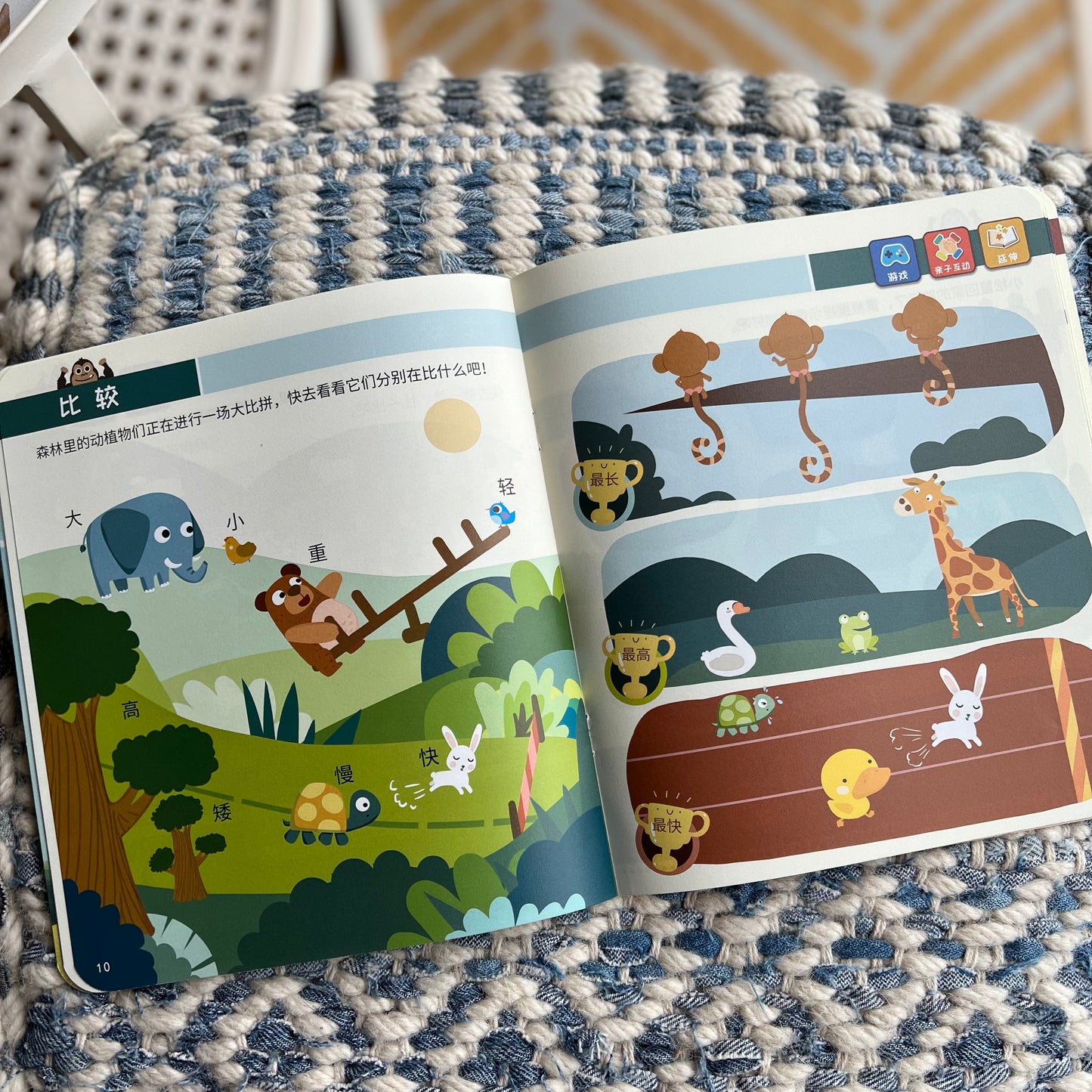 Talking Pen: Curiosity Collection