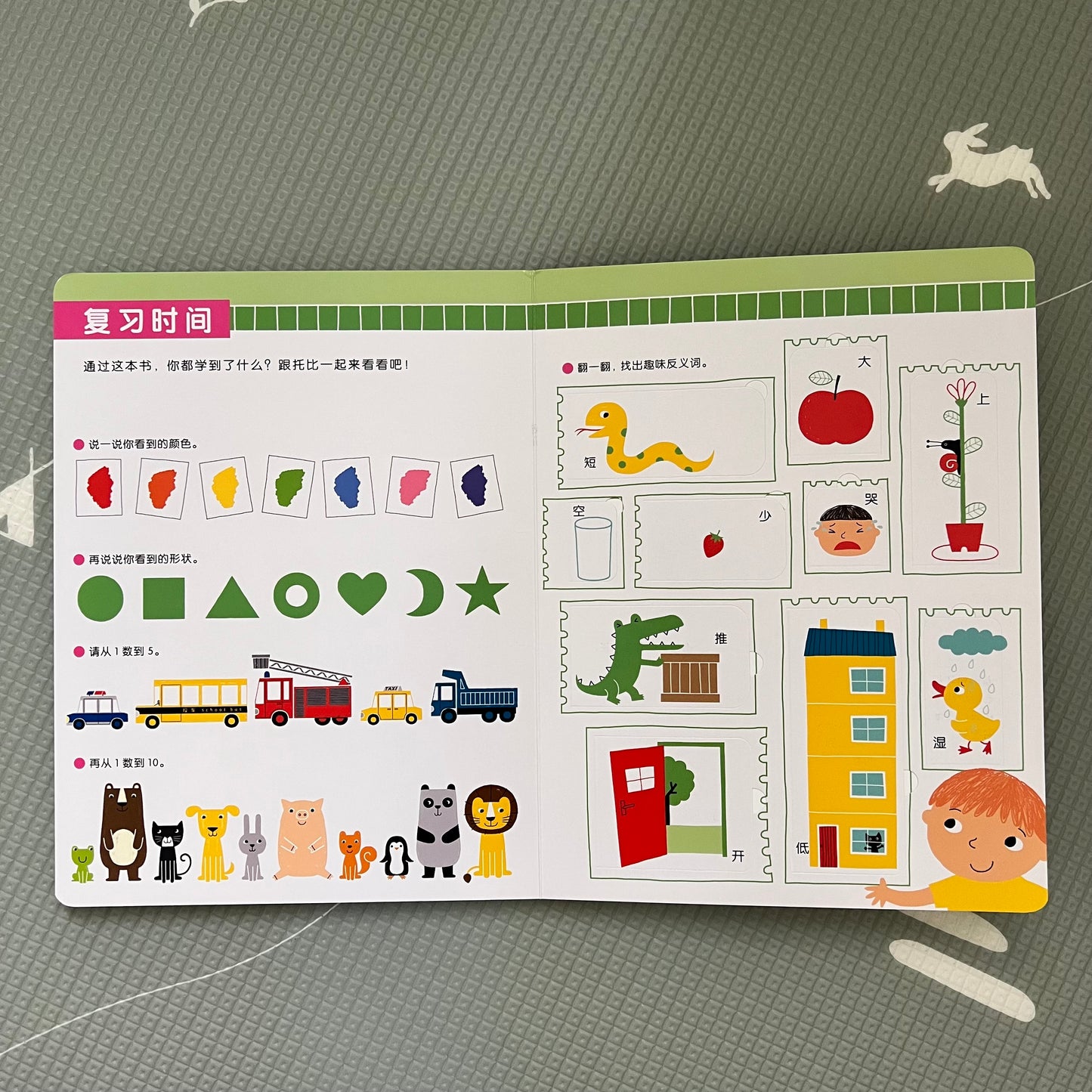 I've Grown Up! 我长大了!