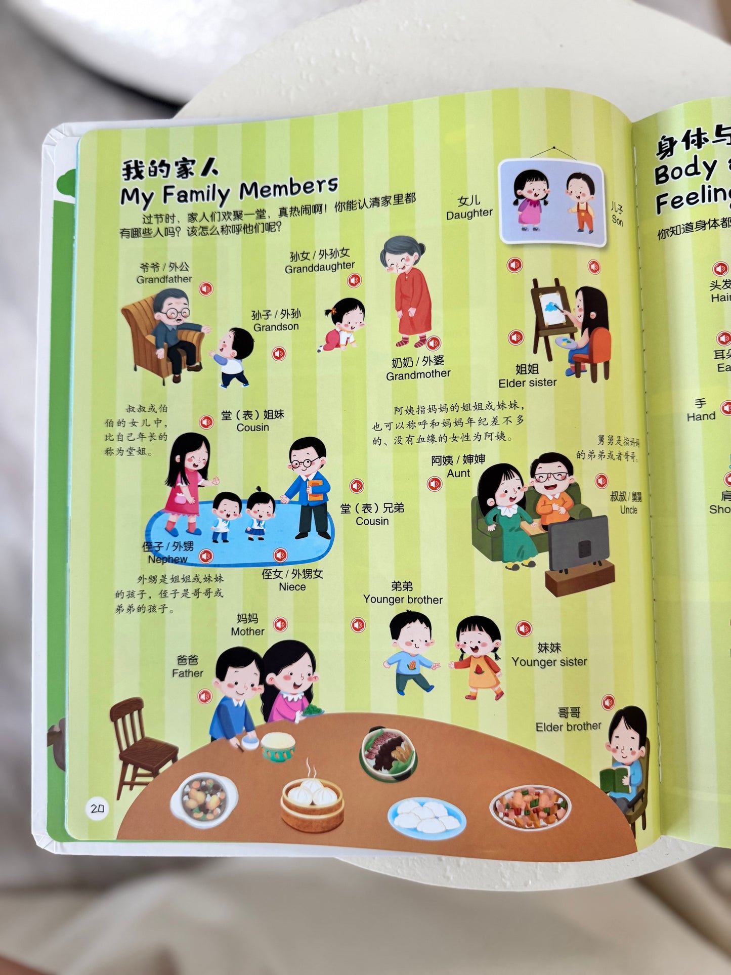 幼儿认知小百科点读发声书 My First Talking Encyclopedia