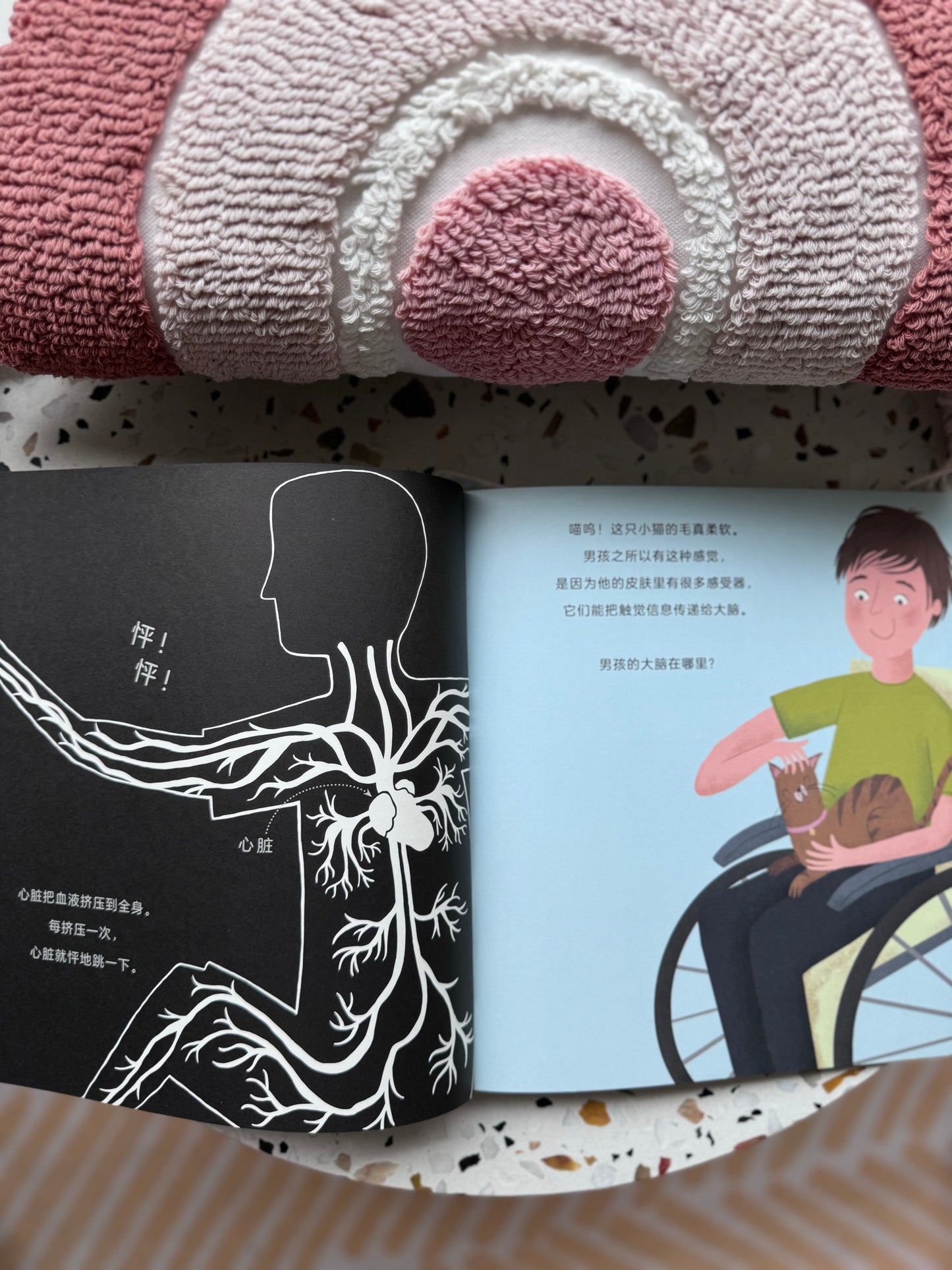 手电筒看里面科普透视绘本 Flashlight Peekaboo Science Picture Books