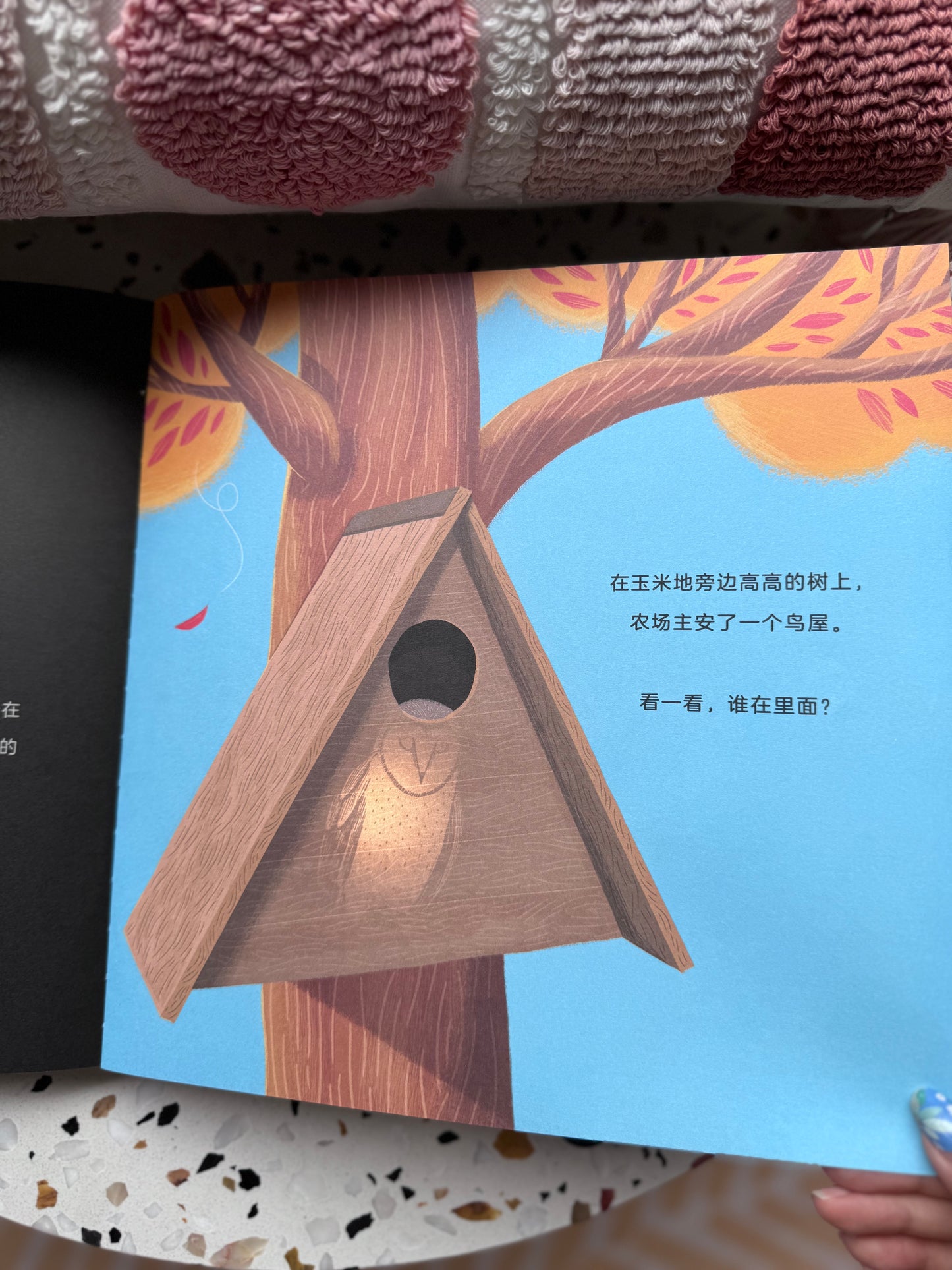 手电筒看里面科普透视绘本 Flashlight Peekaboo Science Picture Books