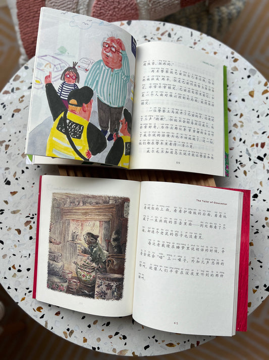 Award-Winning Short Stories Series (Hanyu Pinyin)