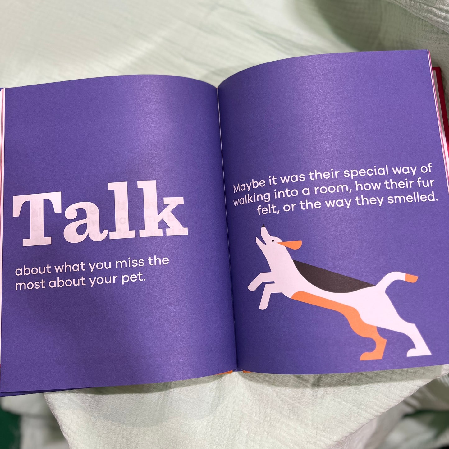 A Kids Book About Saying Goodbye To A Pet