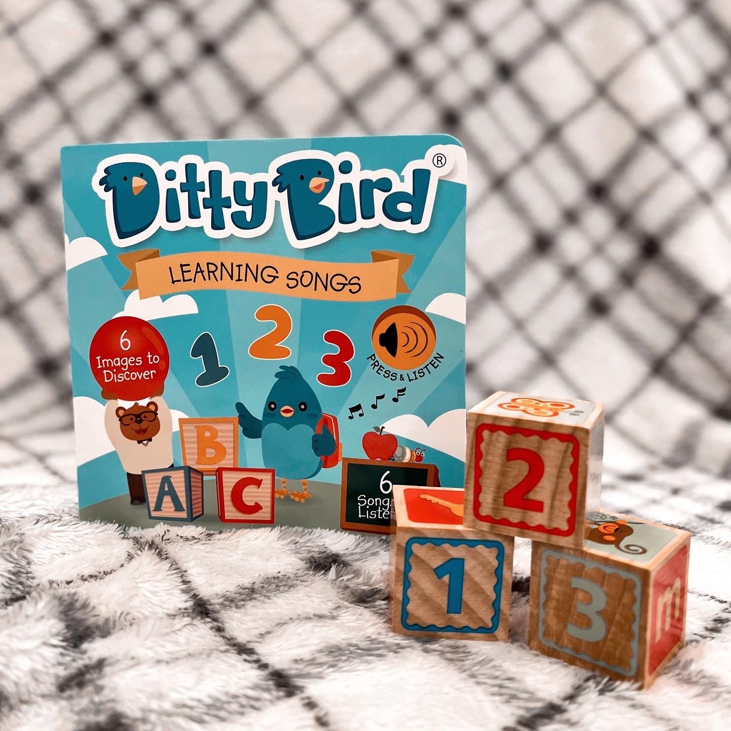 Ditty Bird - Learning Songs