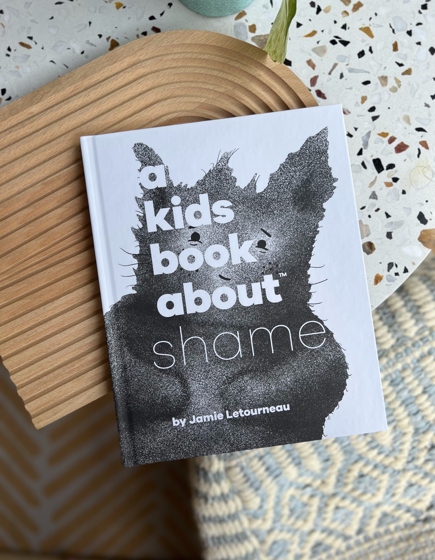 A Kids Book About Shame